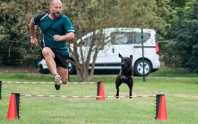 Comment éduquer convenablement votre chien ?