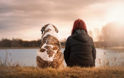Pourquoi avoir un chien change-t-il la vie ?